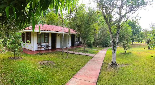 Номер Standard Hotel de Campo Caño Negro