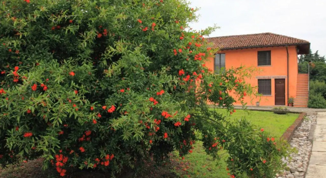 Люкс Alloggio Agrituristico Cascina Tappa
