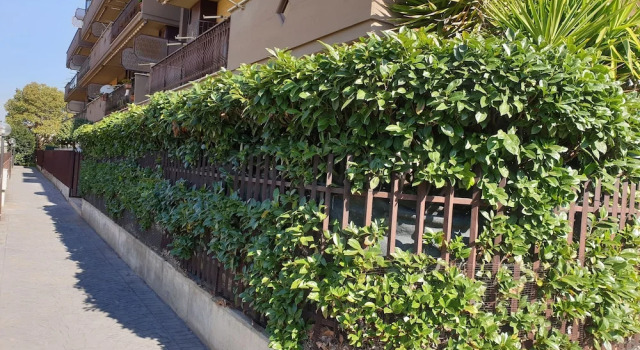 BarbyHouse, Rezervasyon Otel Tivoli 