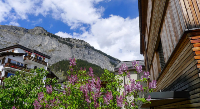 Bergidyll, Book Hotel Flims 