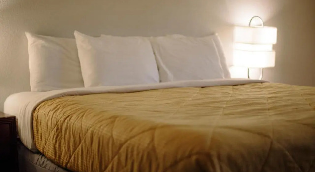 Четырёхместный номер Standard Butler Inn