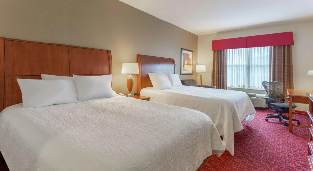 Четырёхместный номер Standard Hilton Garden Inn Madison West/Middleton