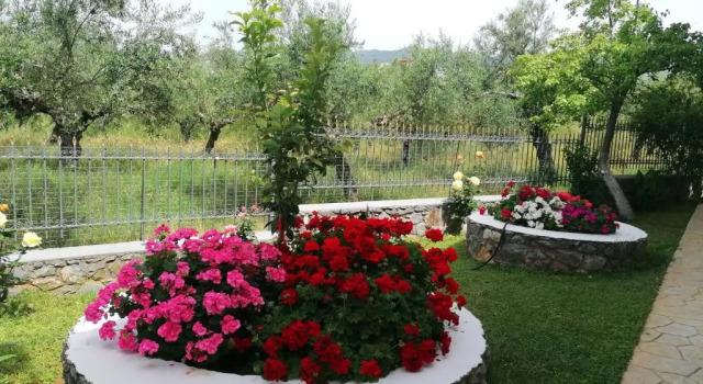 Апартаменты Eleni's Holiday Home