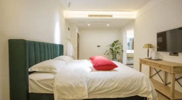 Люкс Yangtze Memory Scenic Hotel (Yangtze International)