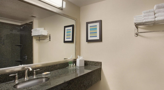Четырёхместный номер Standard Holiday Inn Scottsdale North- Airpark by IHG