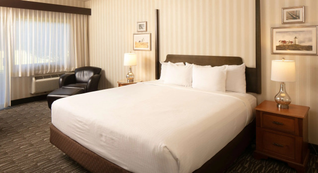 Двухместный номер Premium Red Lion Hotel Bellevue