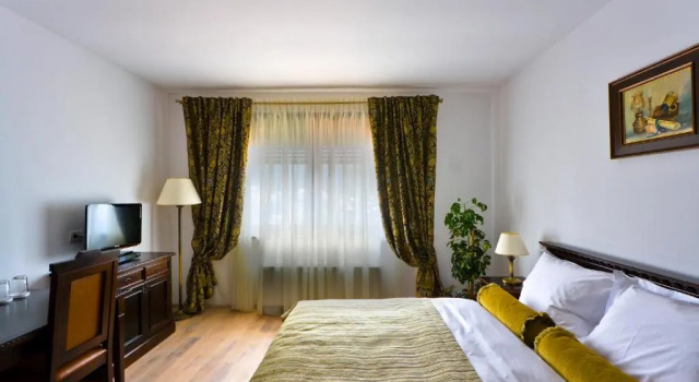 Люкс Pensiunea Leonida - RESORT LEONIDA