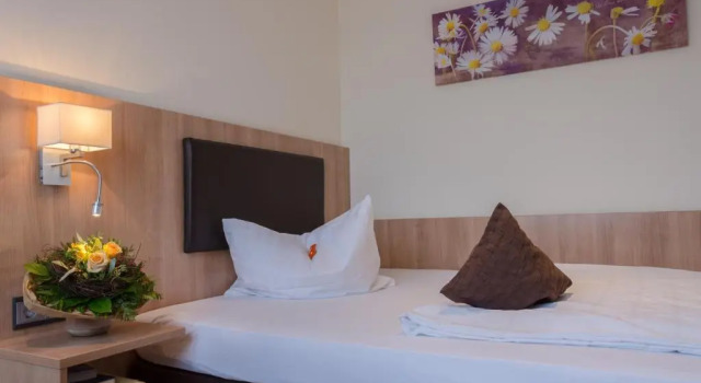 Одноместный номер Standard Garni Hotel Schumacher
