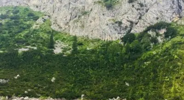 Kety Guesthouse, Prenota Hotel Žabljak 