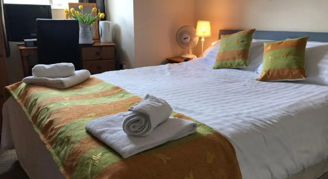 Двухместный номер Standard The Newbridge Hotel