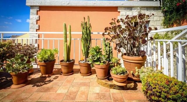 Apartment Gina - Dubrovnik, Забронировать Апартаменты/квартира Апартаменты Региона Дубровника, Апартаменты/квартира
