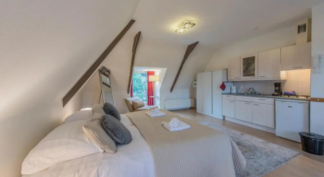 Студия Boutique Appartement-Hotel Villa Juttershof