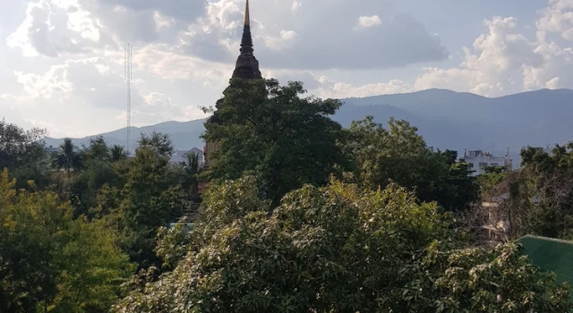 Кровать в общем номере Chedee Hostel Chiang Mai