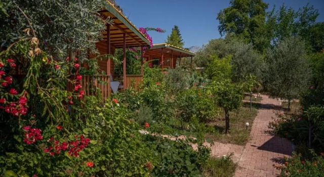 Бунгало с видом на сад Felicity Hotel & Bungalows