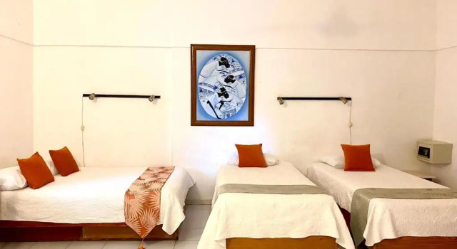 Студия Hotel Alegria