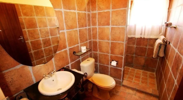 Одноместный номер Standard Mount Etjo Safari Lodge