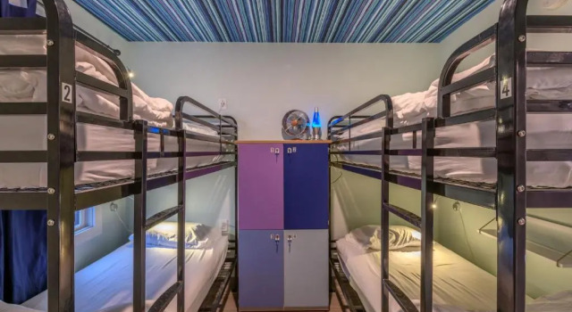 Кровать в общем номере Black Elephant Hostel