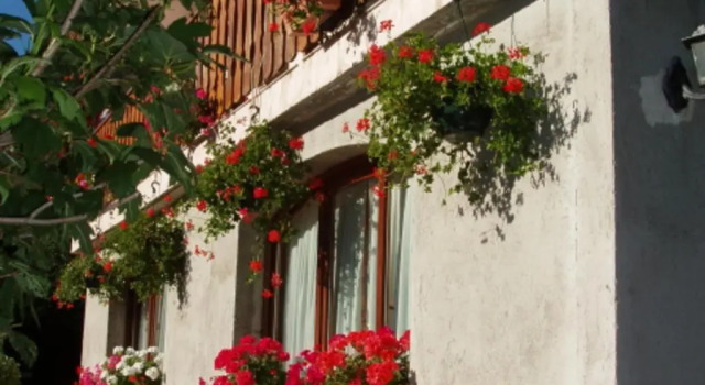 Appartement Valloire, 3 pièces, 6 personnes - FR-1-263-172