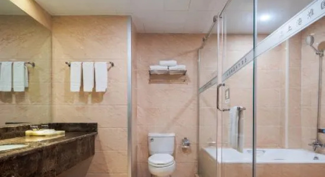 Люкс Shanghaitan International Hotel