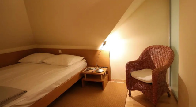 Двухместный номер Standard Мансарда Apartments Villa Boltez