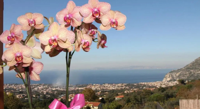 Люкс Agriturismo Antico Casale Colli Di San Pietro