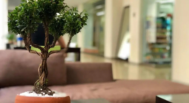 Апартаменты Boutique Apartment Puerta Alameda-801