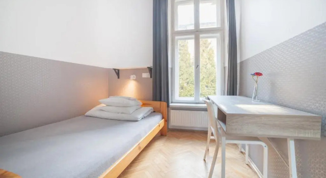Номер Standard Dizzy Daisy Hostel