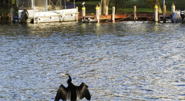 Коттедж Mandurah Riverfront Holiday Rental