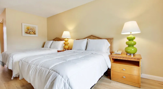 Четырёхместный номер Economy Rotex Western Inn