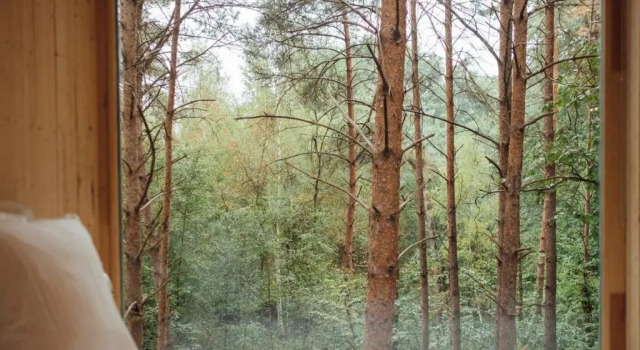 Двухместный номер Standard с балконом Youza ecolodge cabanes dans les arbres