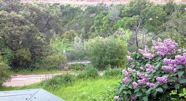 Номер Standard Priest Station Cafe & Cabins