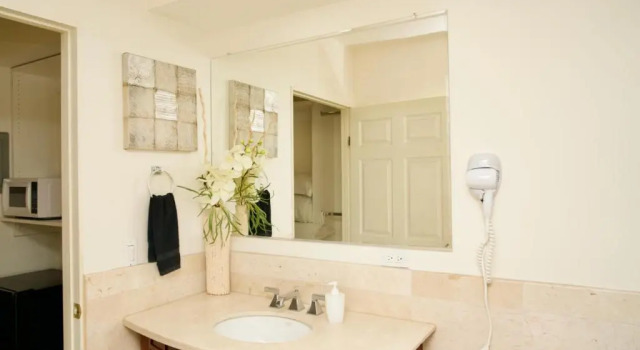 Люкс Standard Rio Suites