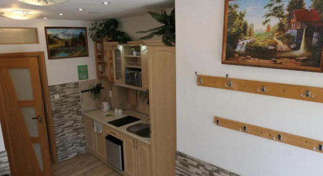 Апартаменты Цокольный этаж c 1 комнатой Apartamenty u Łukasza