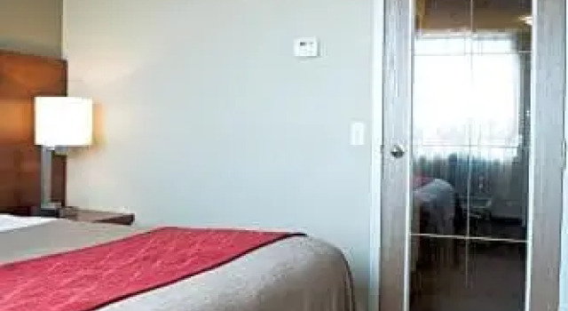 Люкс Standard Comfort Inn & Suites