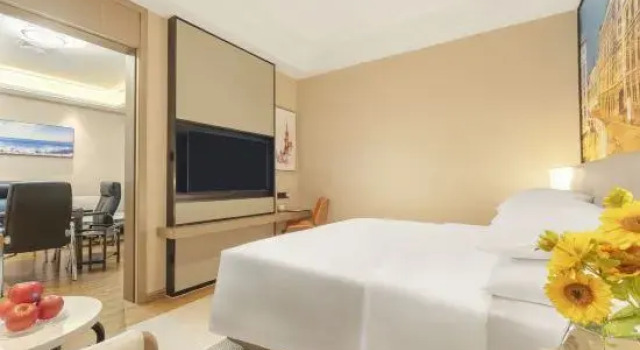 Люкс Deluxe Vienna International Hotel (Shishou Caizhi Cultural Plaza Branch)