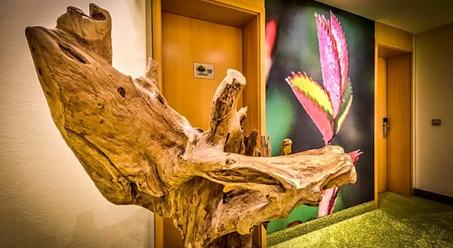 Номер Standard Wellings Parkhotel