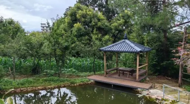 Lijiang junayuanzhu Homestay, Prenota Hotel Hotel a Lijiang con parcheggio, Parcheggio