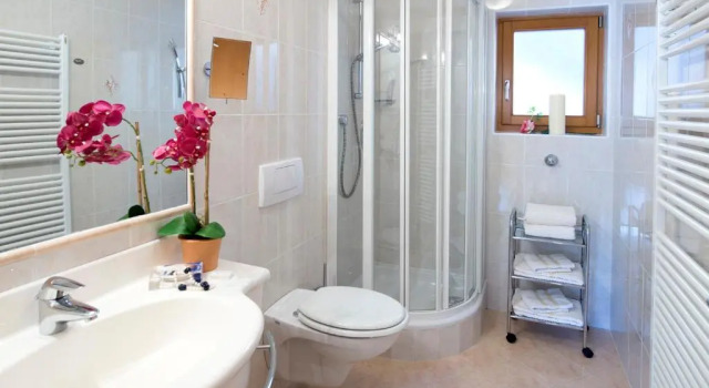 Апартаменты Appartements Plattnerhof