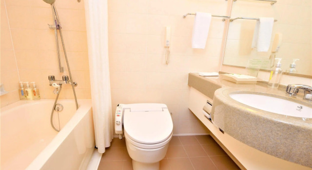 Двухместный номер Premium ANA Holiday Inn Sendai by IHG