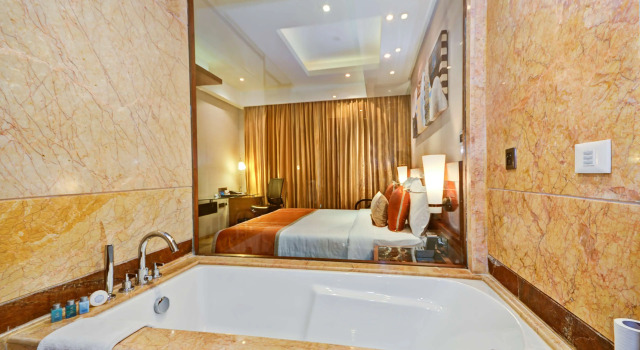 Номер Business Radisson Blu Kaushambi Delhi NCR