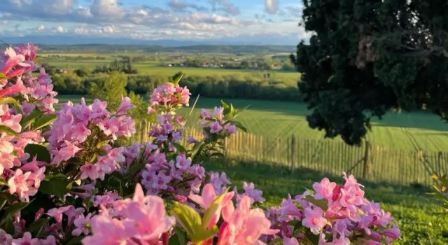 Supérieure chambre Domaine de Quintalone