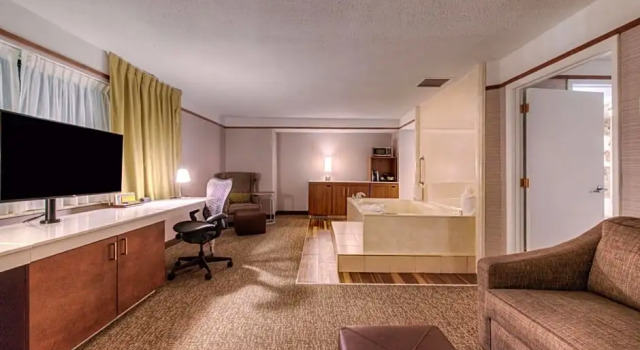 Люкс Hilton Garden Inn Detroit Southfield