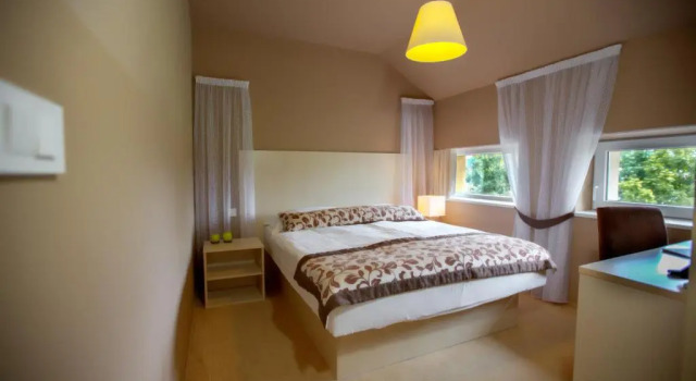 Двухместный номер Economy Ambient Hotel