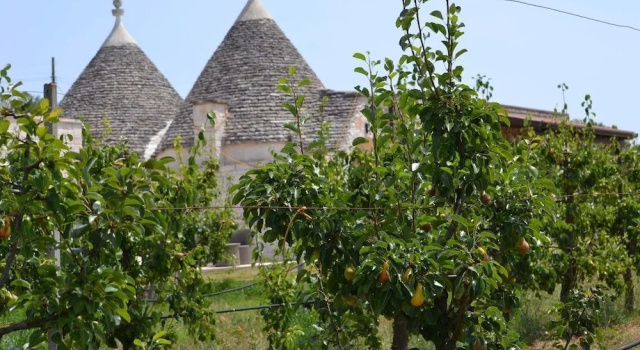 Masseria Torricella