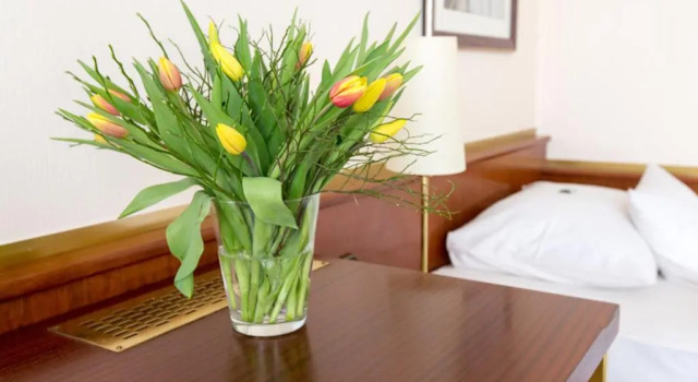 Номер Comfort Amedia Hotel Siegen City, Trademark Collection by Wyndham