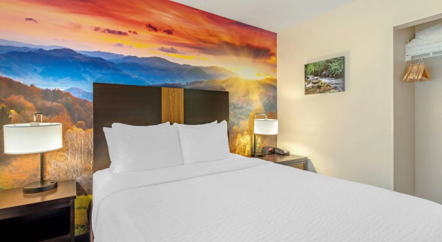 Двухместный люкс LeConte Hotel & Convention Center, an Ascend Collection Hotel