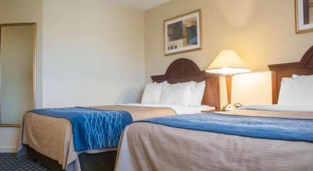 Номер Standard Comfort Inn & Suites