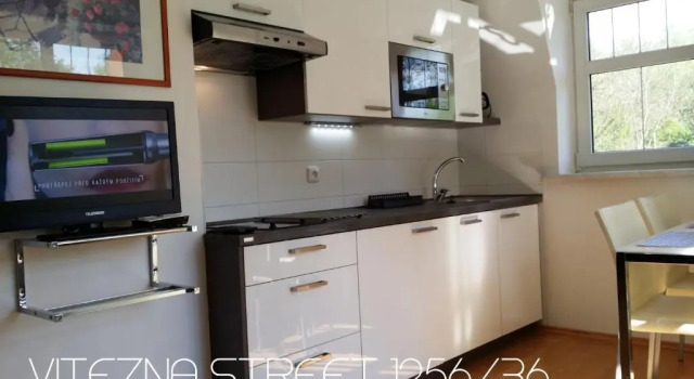 Семейная студия Holiday Apartments Vítězná 1256/36
