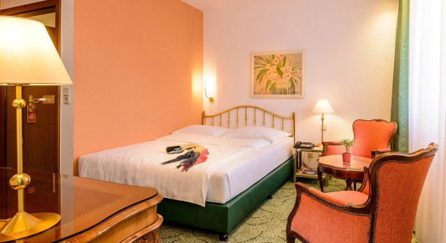 Одноместный номер Superior Hotel Palmenhof