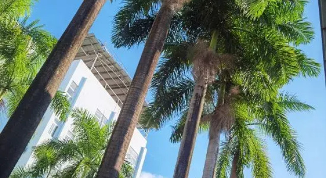 Long Rui Hotel, Prenota Hotel Dehong Yunnan